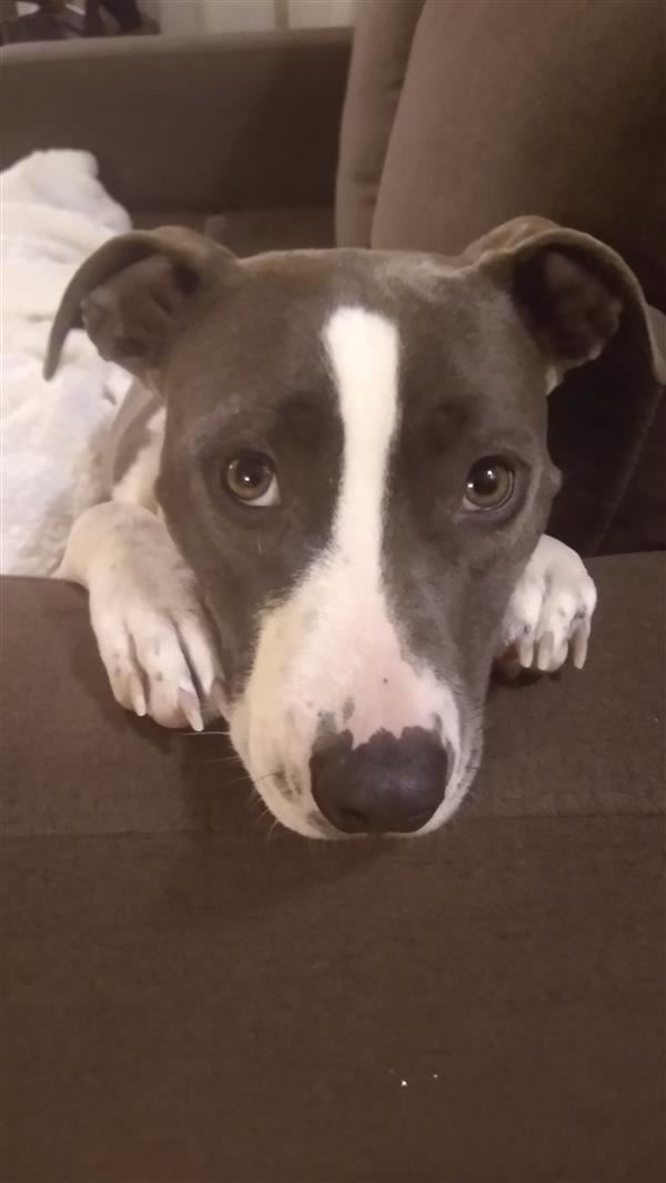 Maisy Maisy